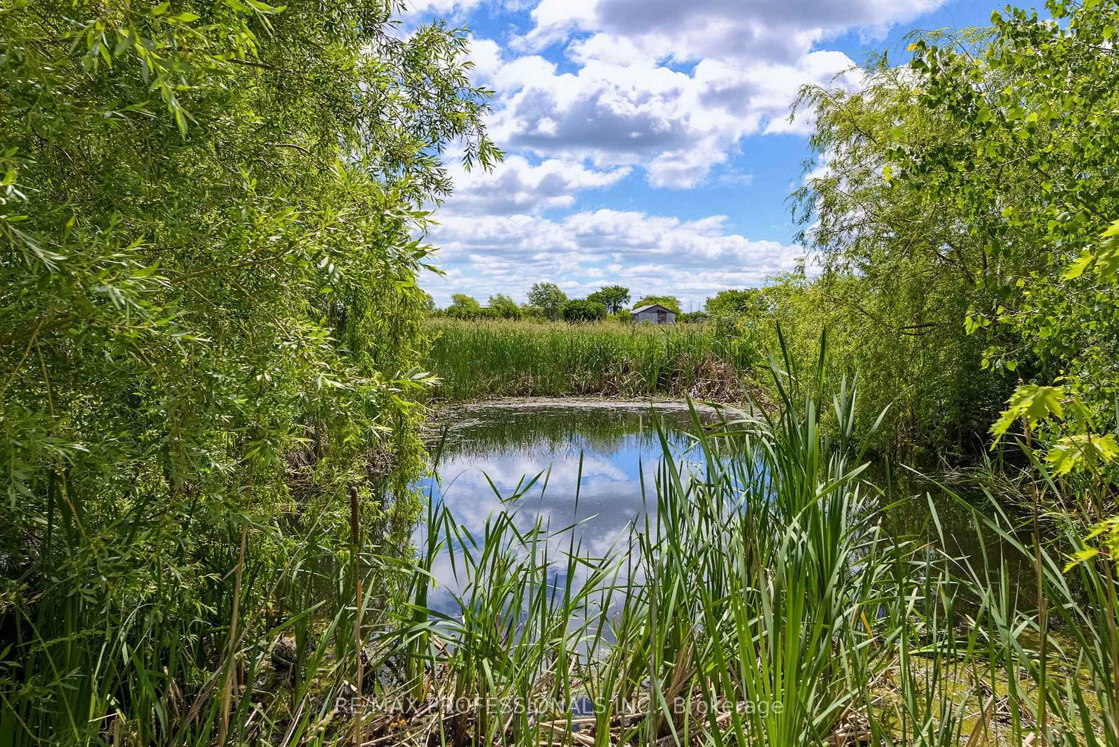 13289 Innis Lake Road • Caledon, ON photo 47