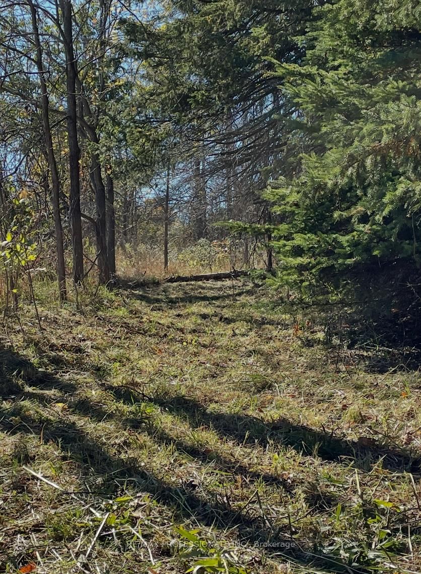 14070 DUBLIN Line • Halton Hills, ON photo 18