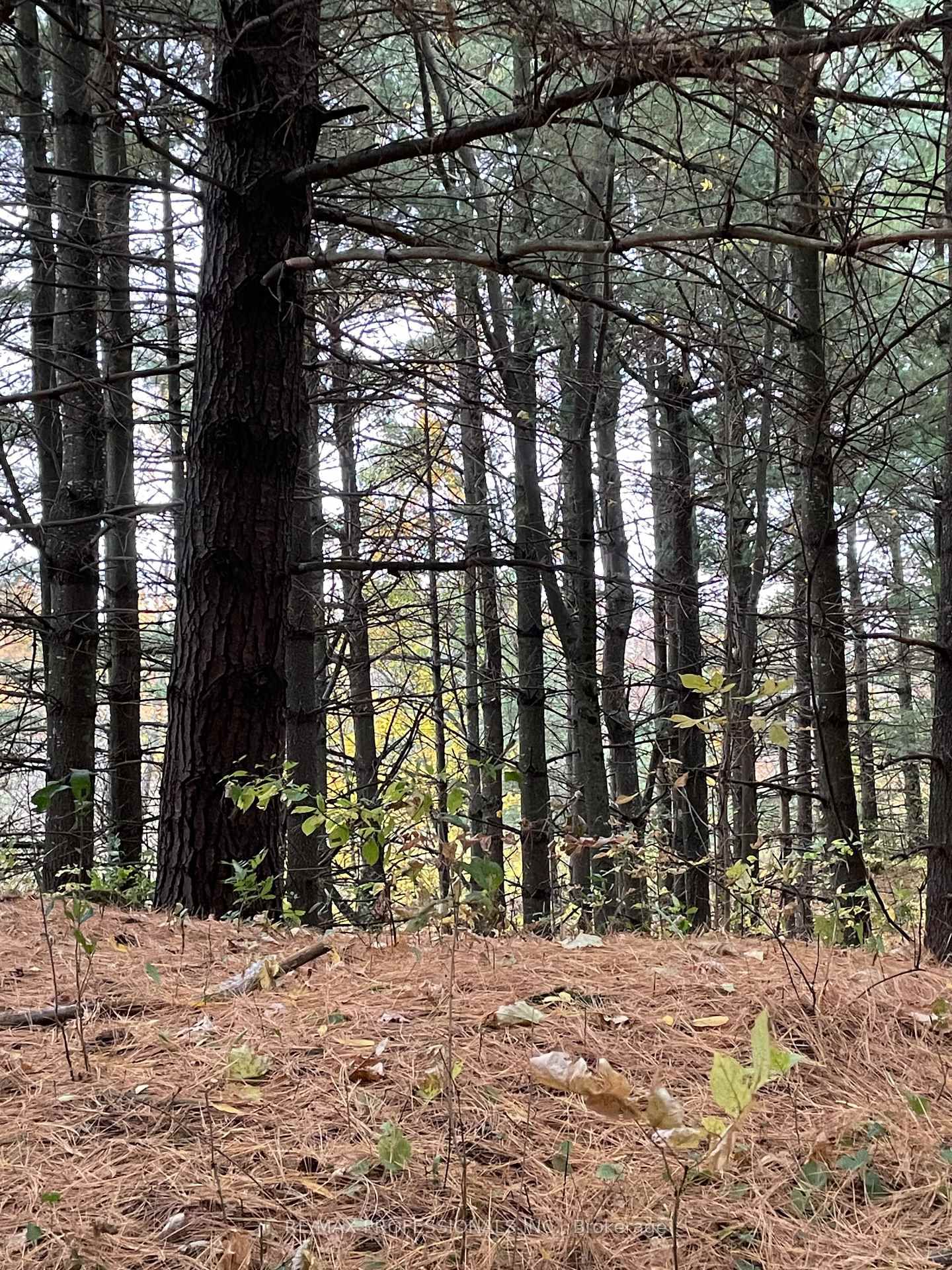 14070 DUBLIN Line • Halton Hills, ON photo 21