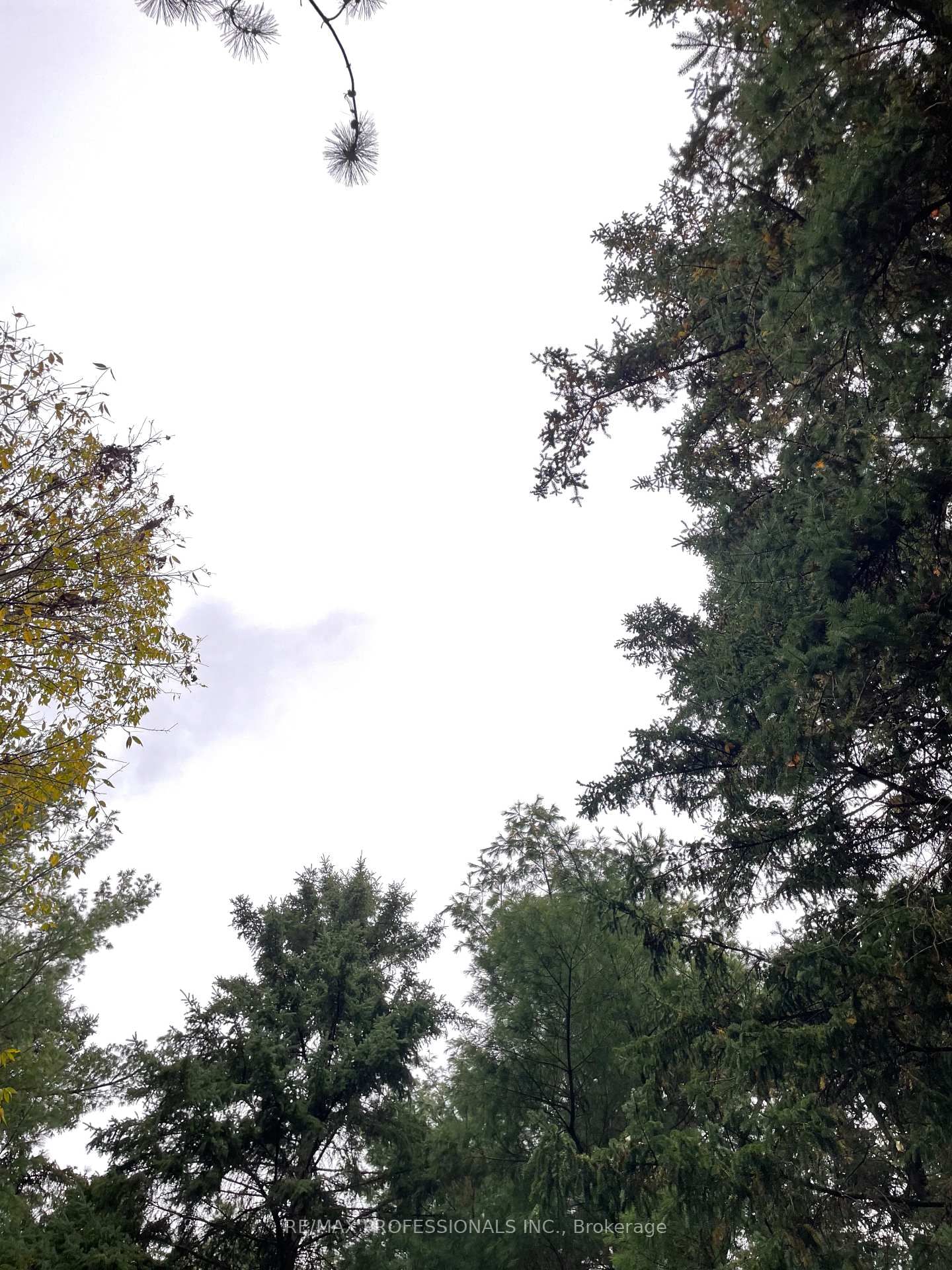 14070 DUBLIN Line • Halton Hills, ON photo 24