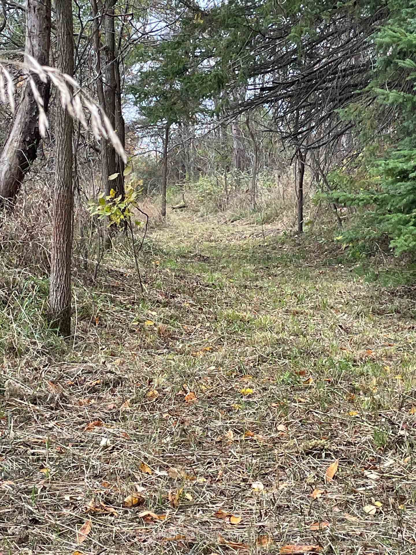 14070 DUBLIN Line • Halton Hills, ON photo 25