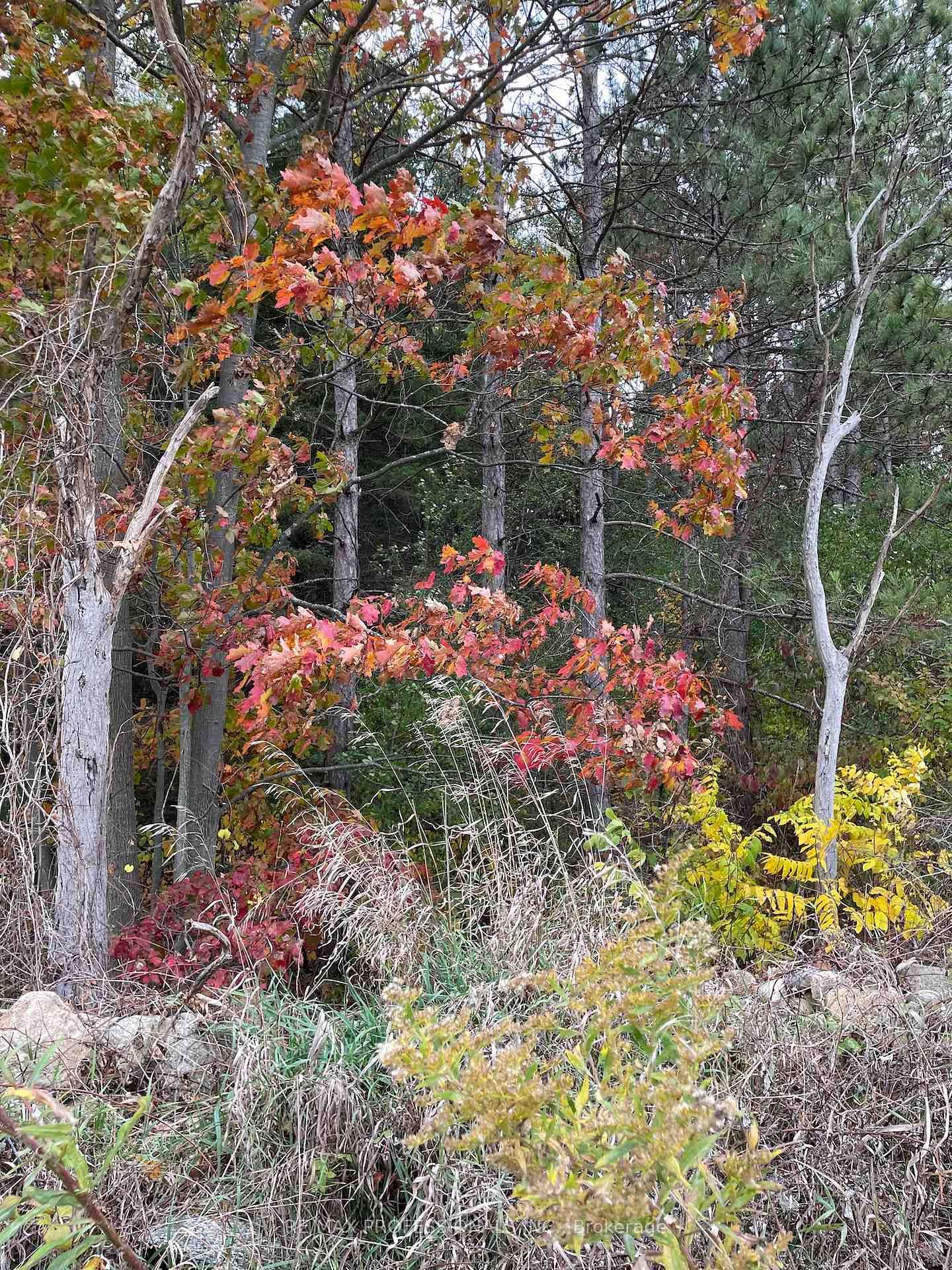 14070 DUBLIN Line • Halton Hills, ON photo 26