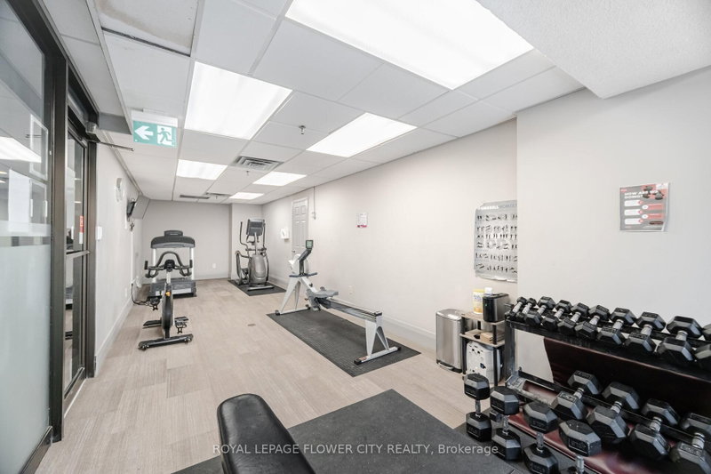 8 Lisa Brampton,ON L6T 4S6 — Photo 36