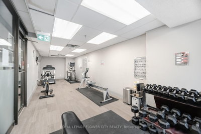 8 Lisa Brampton,ON L6T 4S6 — Photo 36
