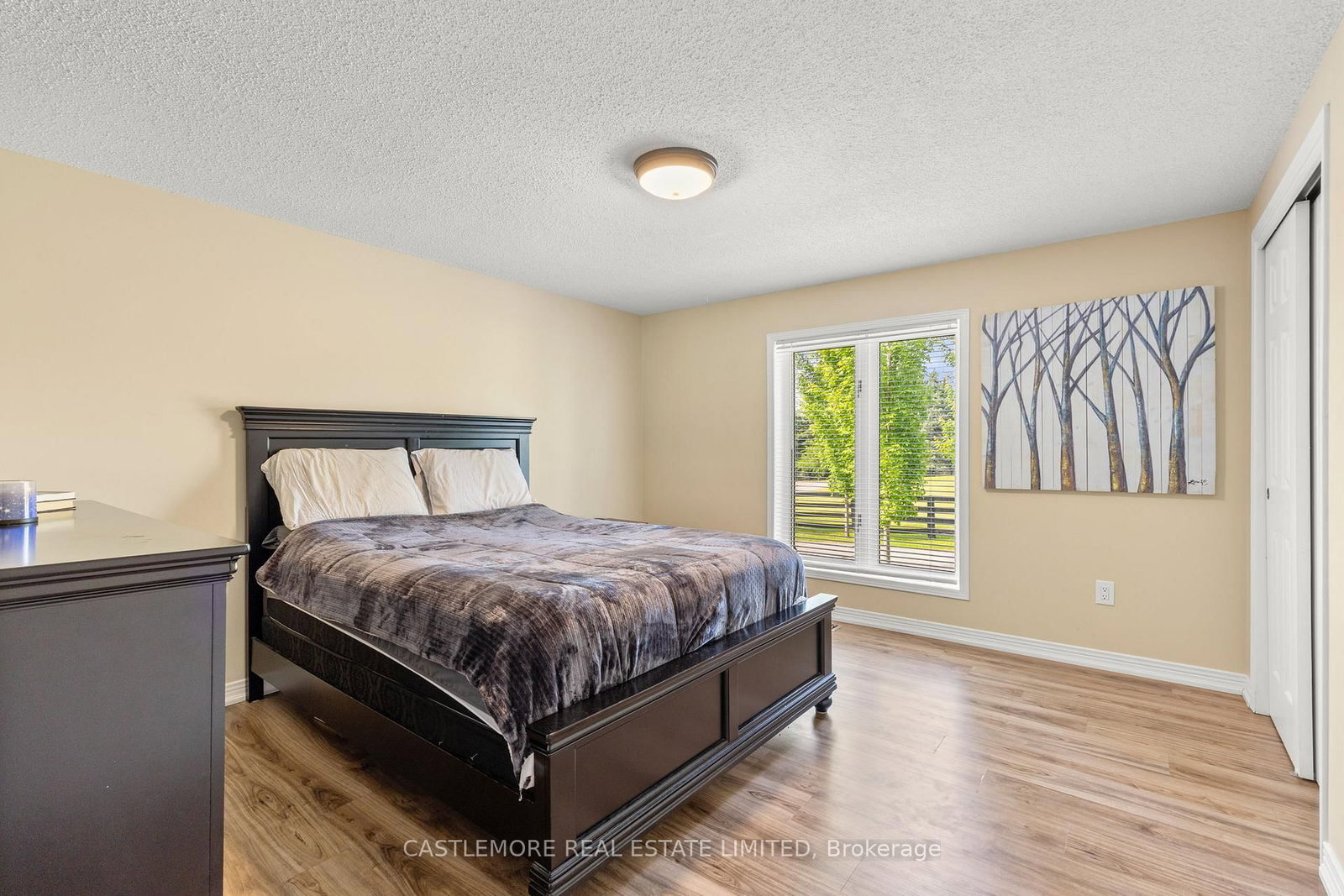 4376 the grange Sdrd, Caledon, view 47