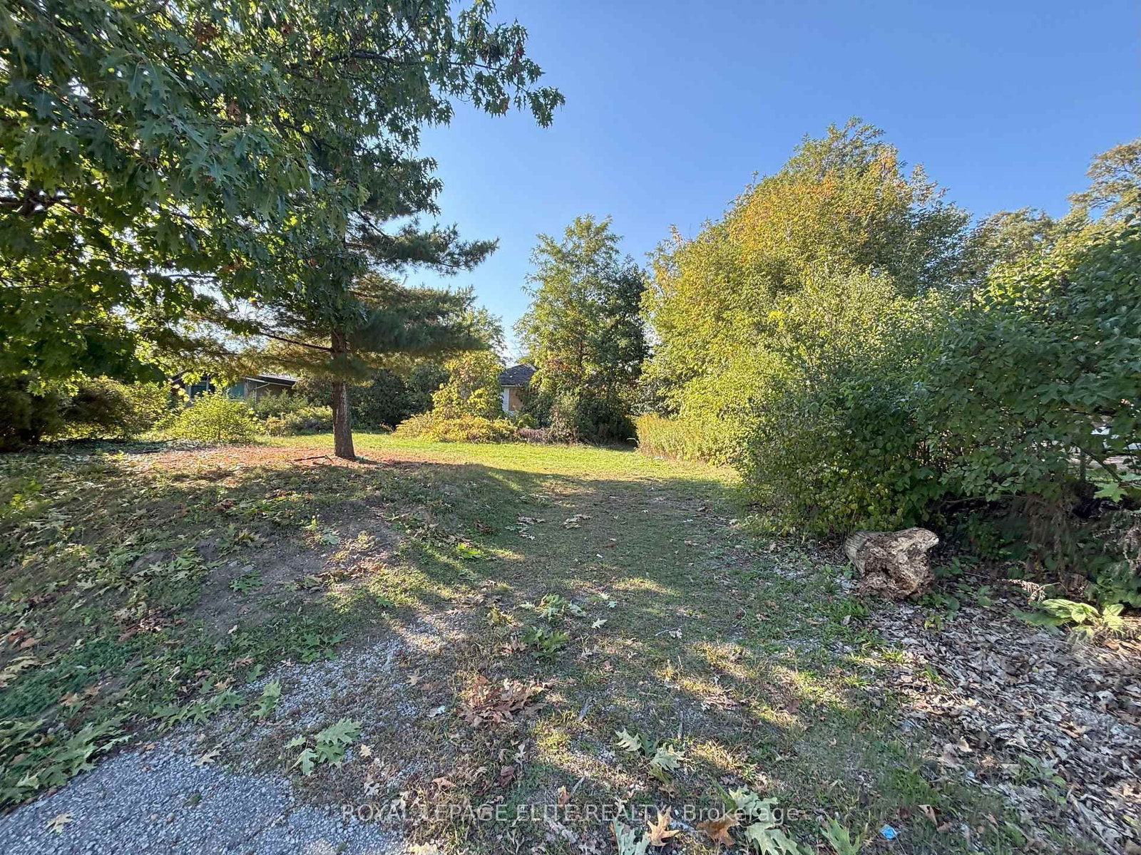 1631 Eglinton Avenue W • Mississauga, ON photo 11