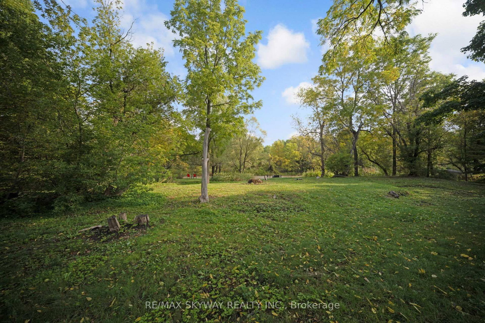 45 Confederation Street • Halton Hills, ON photo 15