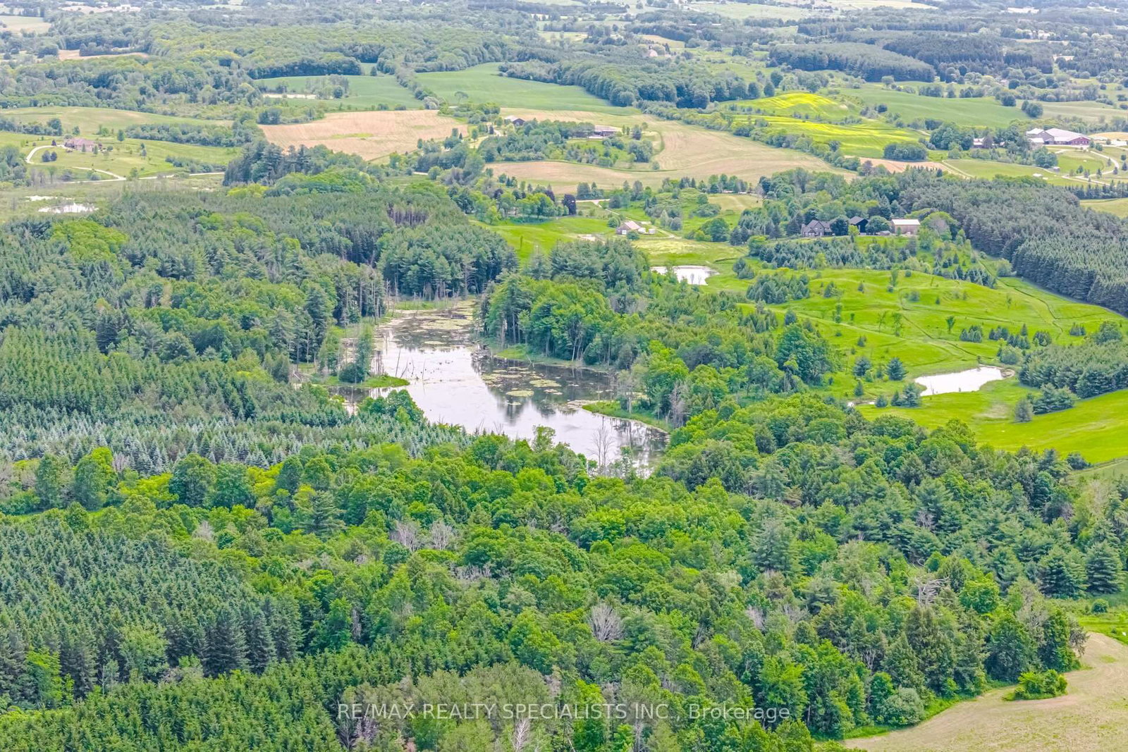 15835 Mount Wolfe Road • Caledon, ON photo 21