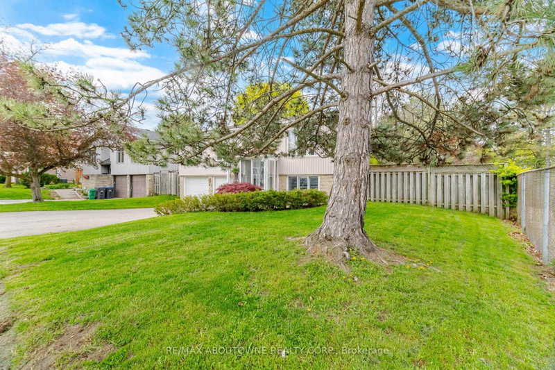 41 Plainsman Road