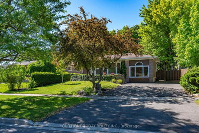 338 Delrex Boulevard