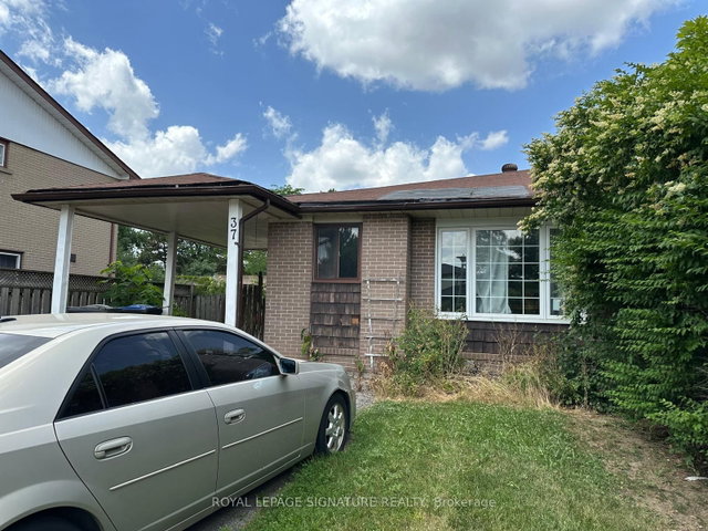 37 Flamingo Crescent