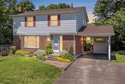 377 Delrex Boulevard