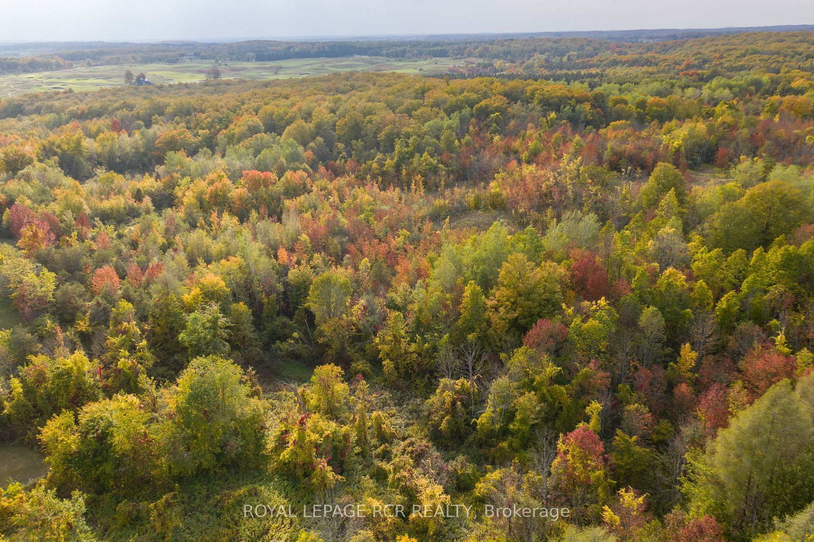 Lot 9 Mountainview Road • Caledon, ON photo 21