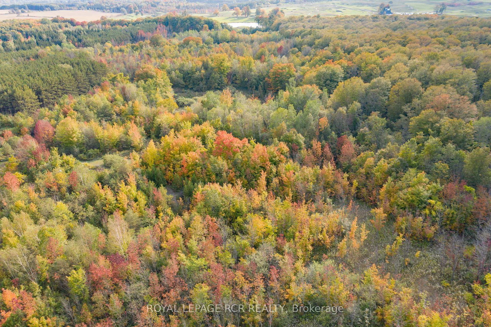 Lot 9 Mountainview Road • Caledon, ON photo 22