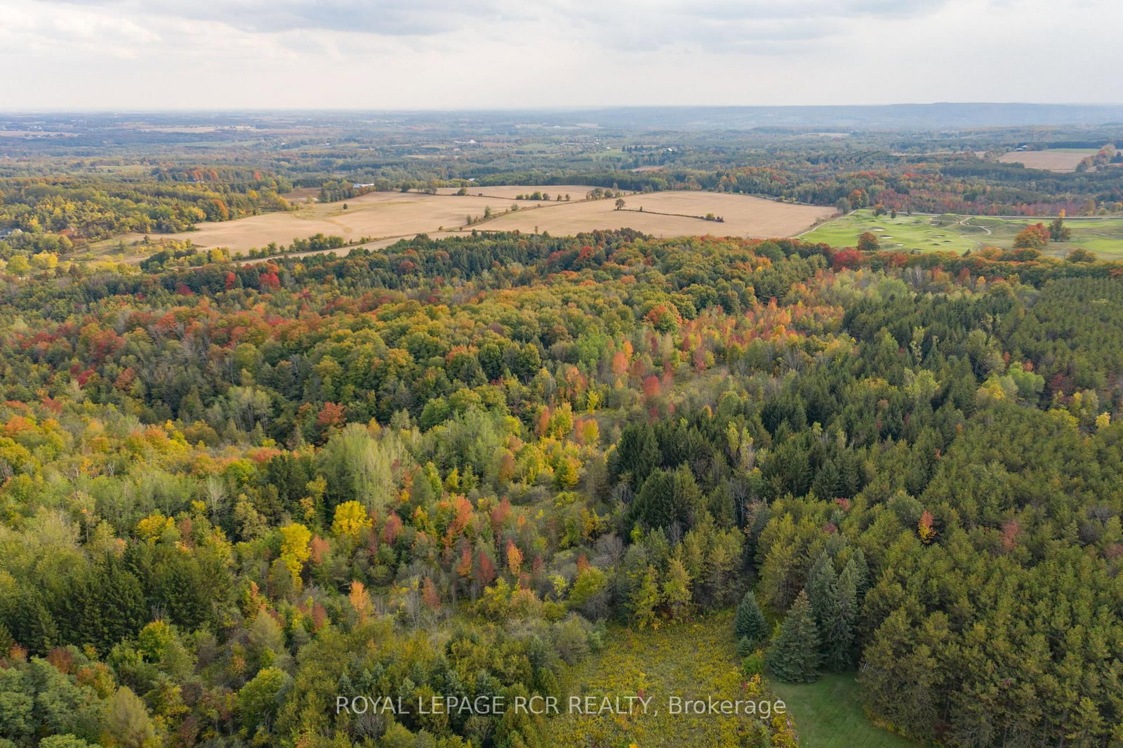 Lot 9 Mountainview Road • Caledon, ON photo 29