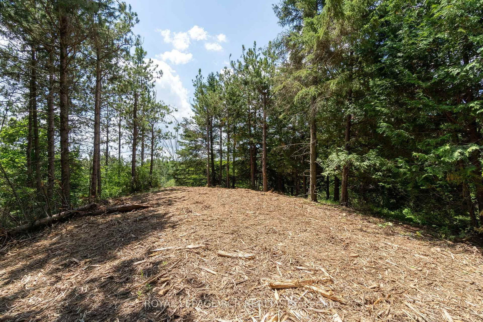 Lot 9 Mountainview Road • Caledon, ON photo 31