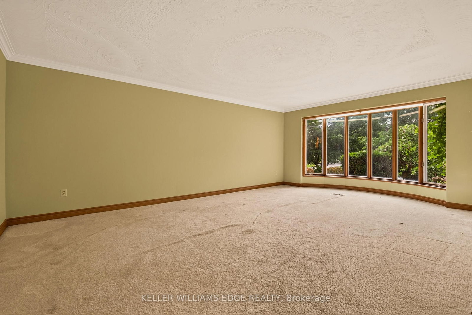 43 Braecrest Avenue • Toronto, ON photo 7