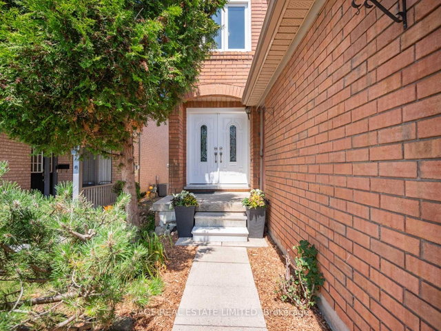7093 BLACK WALNUT Trail