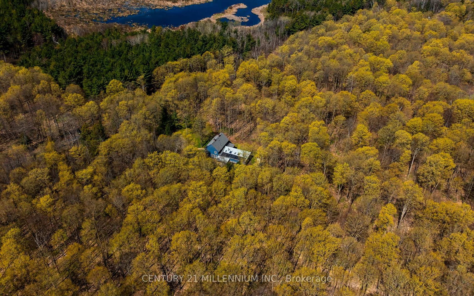 19211 Mountainview Road • Caledon, ON photo 42