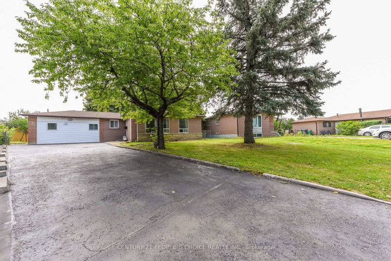 8 Fidelia Cres, Brampton, Ontario