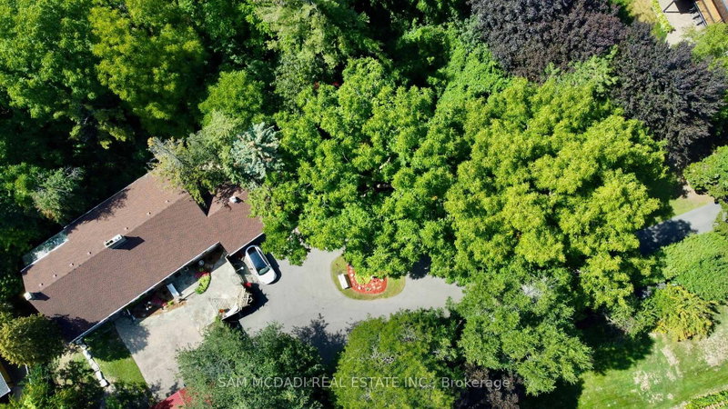 85 Yorkleigh Avenue