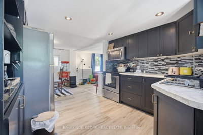 262 Pine Milton,ON L9T 1K5 — Photo 14