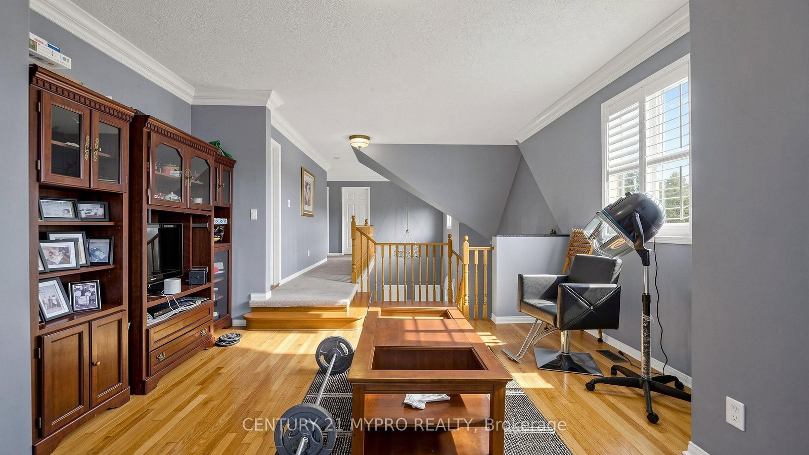 12 Sergio Marchi Street • Toronto, ON photo 26