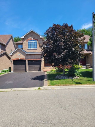 88 Castelli Court