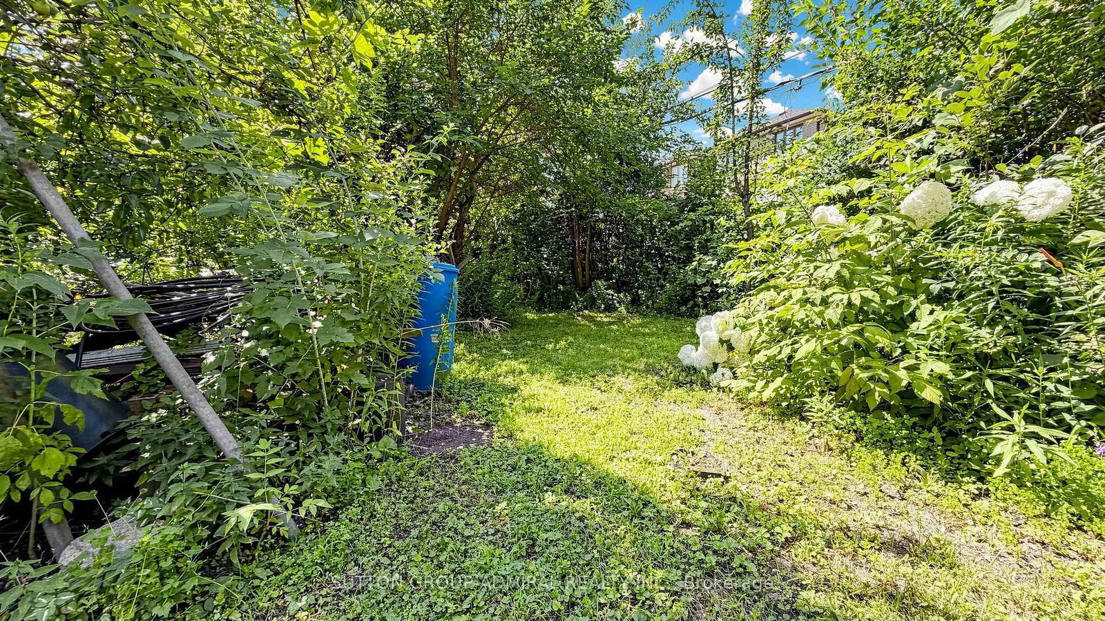 62 Rosemeade Avenue • Toronto, ON photo 47