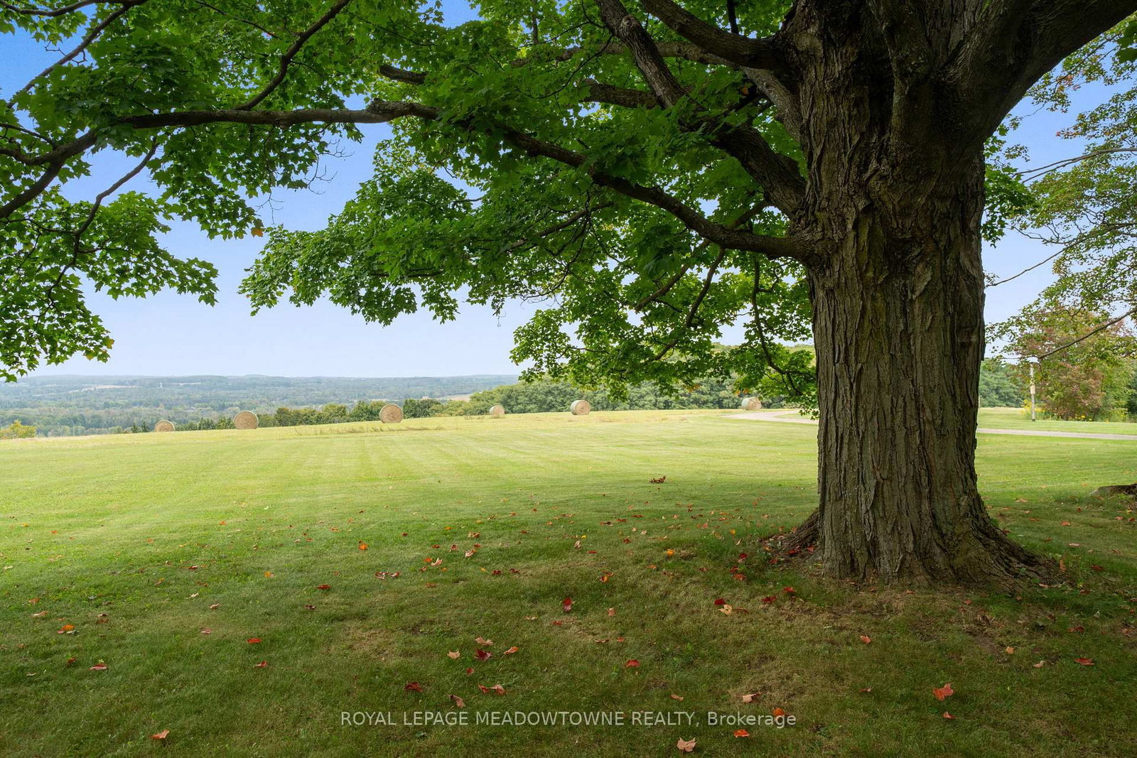 2097 Grange Side Road • Caledon, ON photo 32