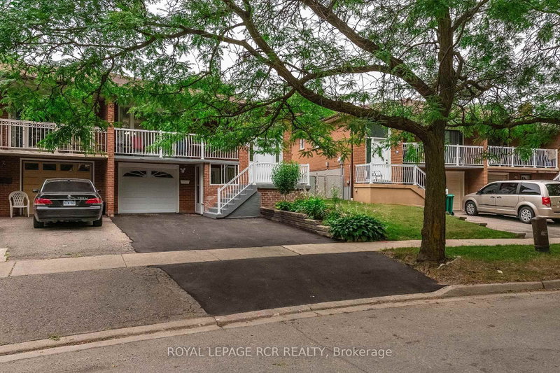 24 Petunias Road