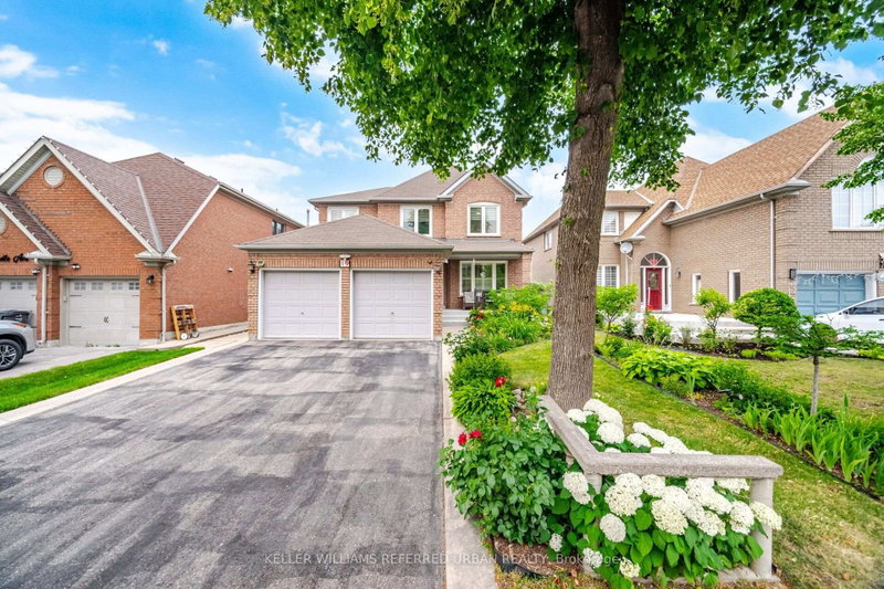 19 Softneedle Avenue