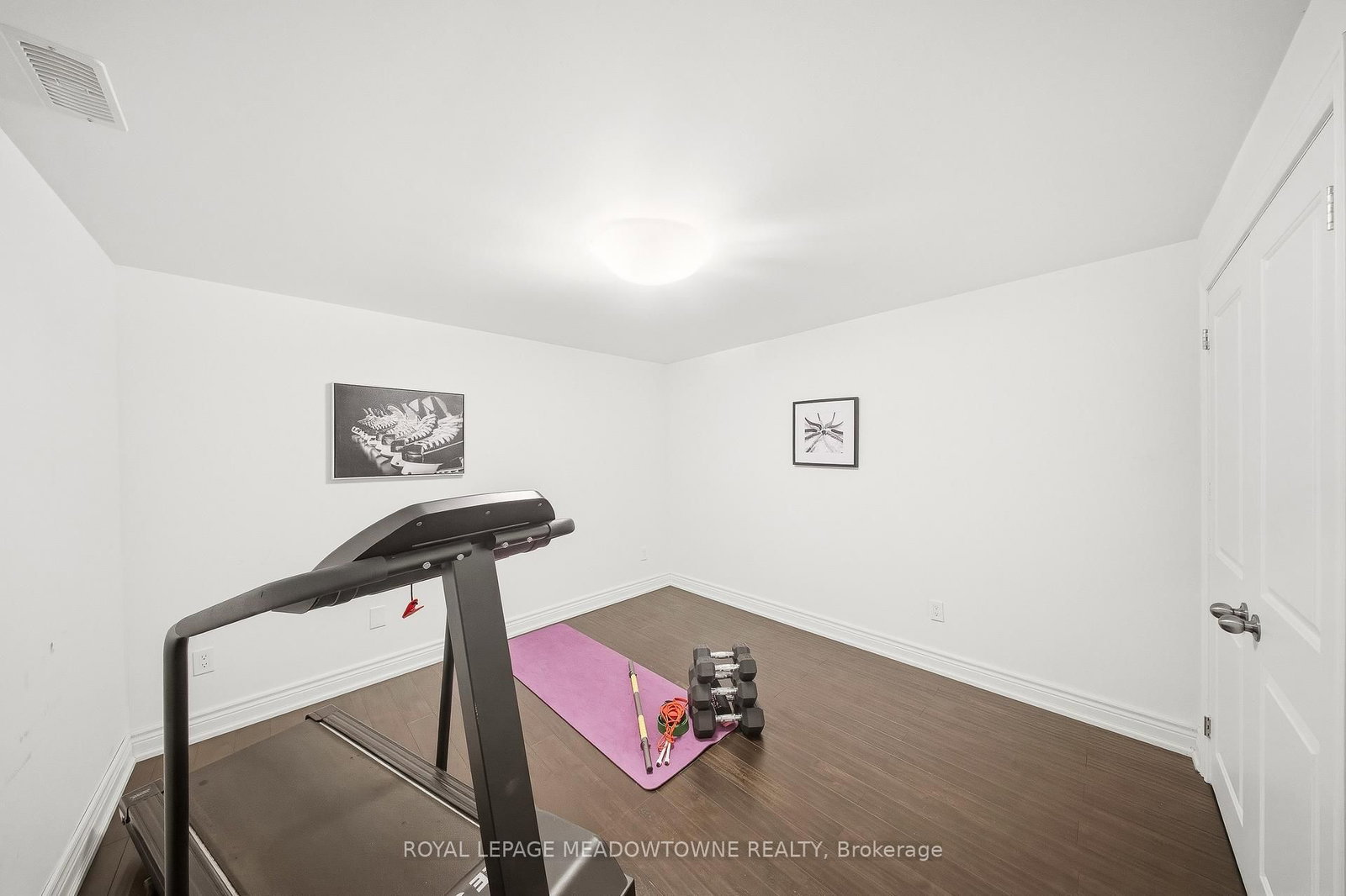 298 Eaton Street • Halton Hills, ON photo 41
