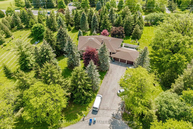 6 Forestbrook Court, Brampton