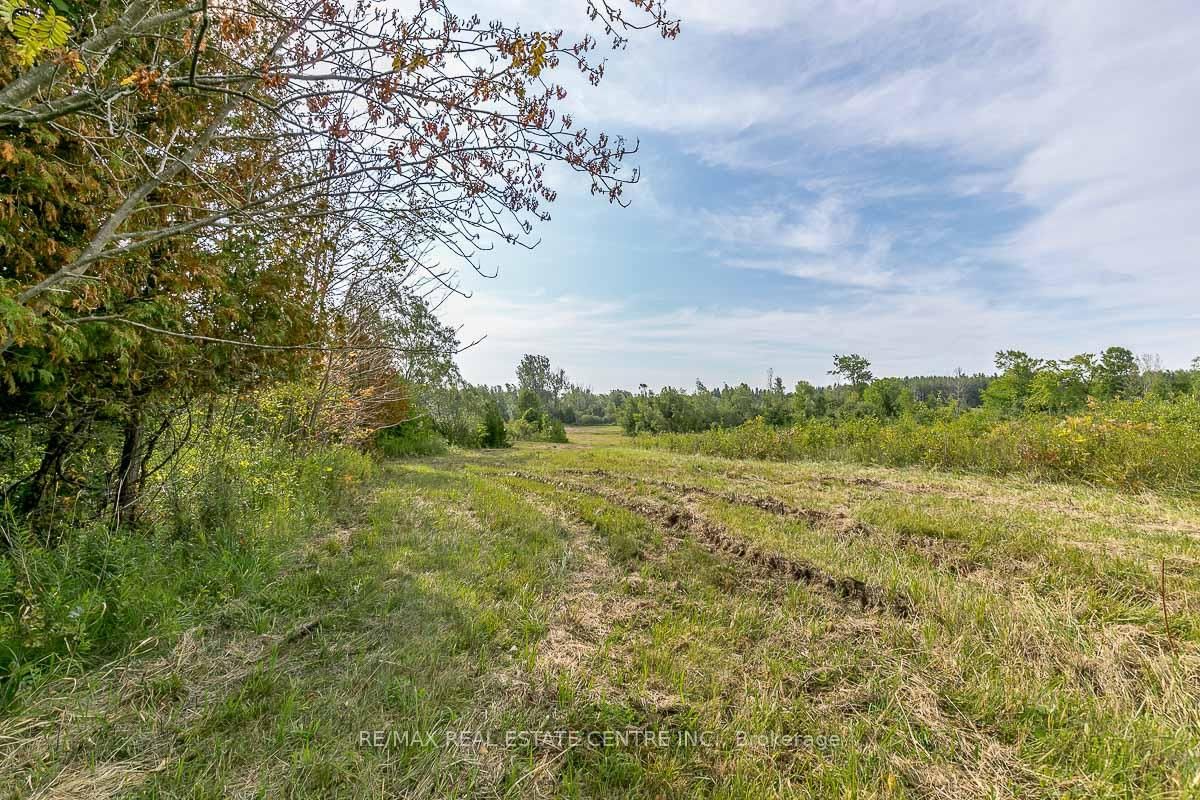 0 Shaws Creek Road • Caledon, ON photo 11