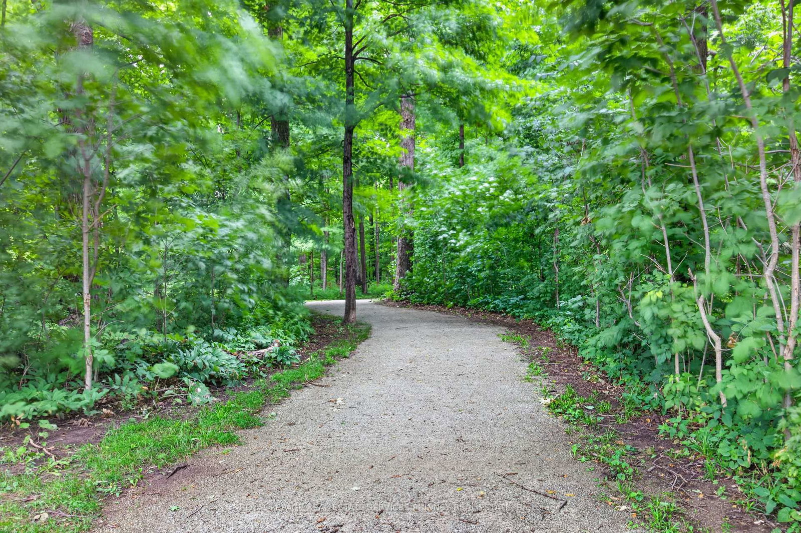 211 Creek Path Avenue • Oakville, ON photo 32