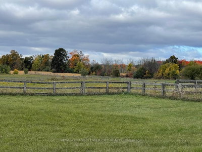 Farm for lease at (Barn)-14264 Eighth Line, Halton Hills, Ontario, L7G 4S4 - Rural Halton Hills - MLS: W13595388