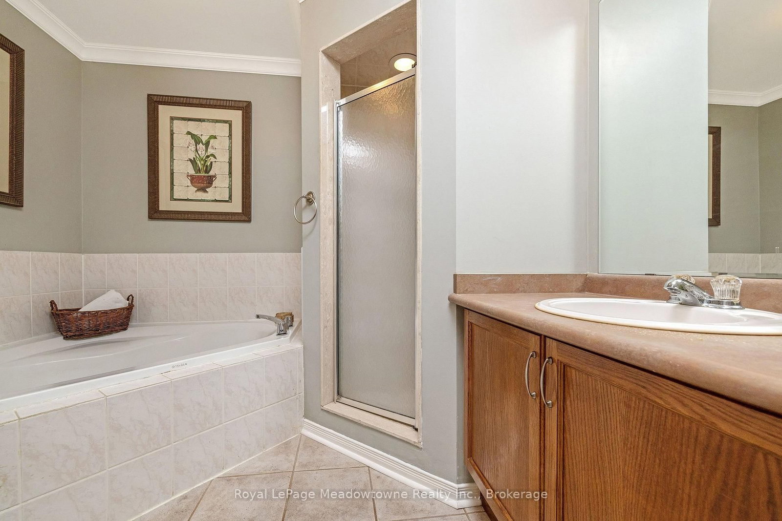 248 Pettigrew Trail • Milton, ON photo 24