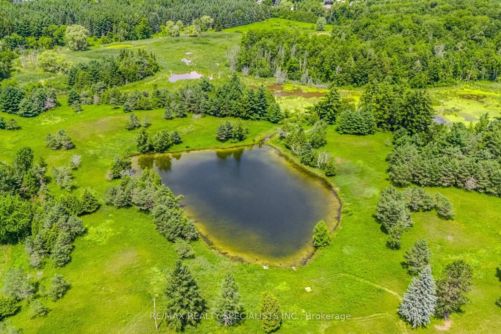 15441 Mount Pleasant Rd, Caledon, view 10