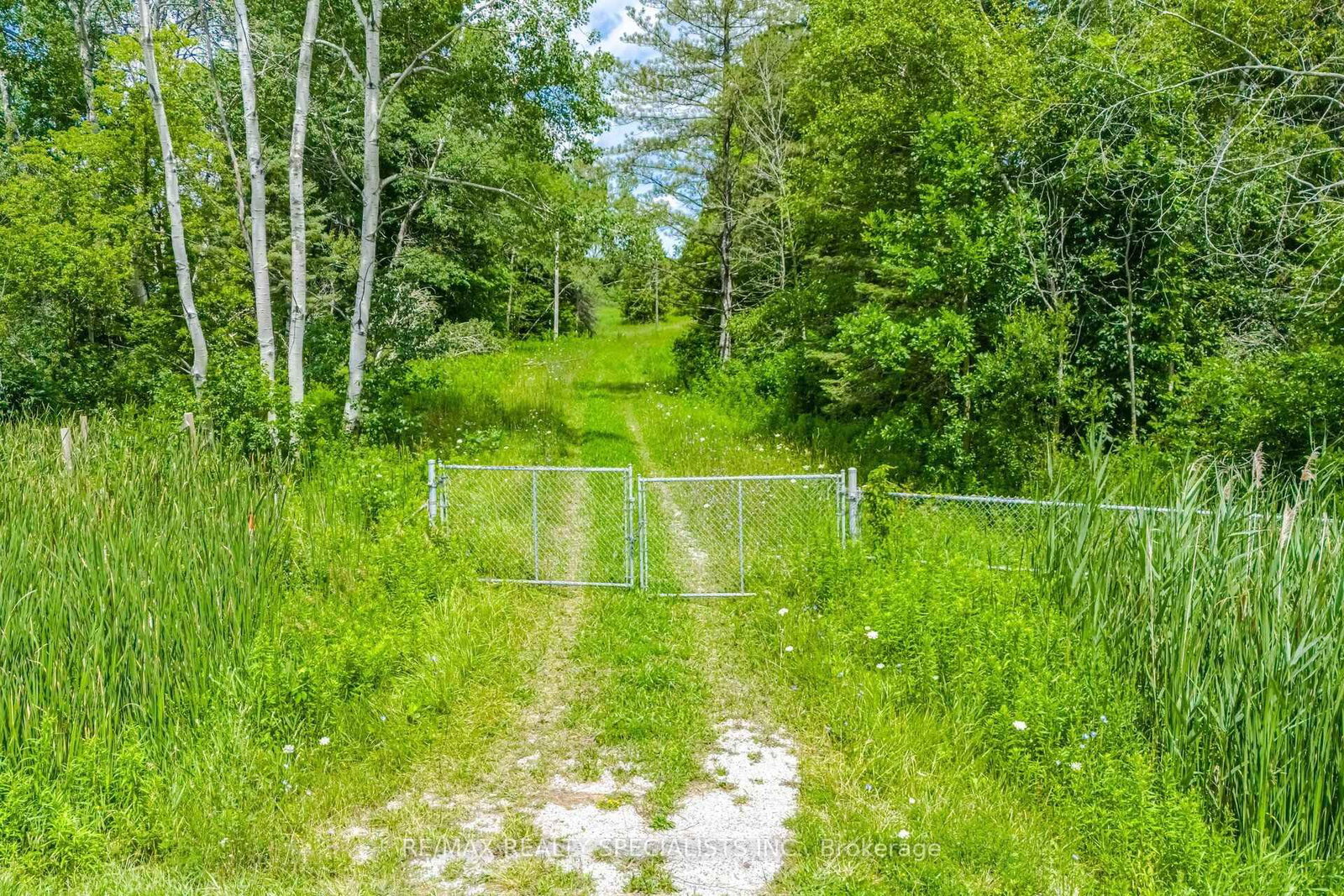 15441 Mount Pleasant Rd, Caledon, view 16