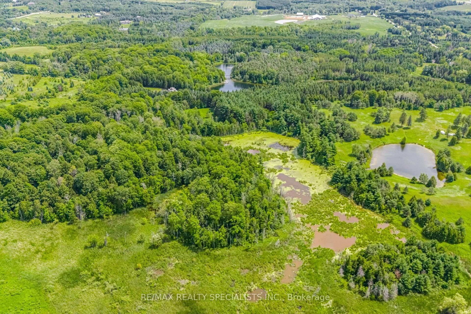 15441 Mount Pleasant Rd, Caledon, view 9