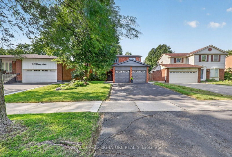 62 Massey Street