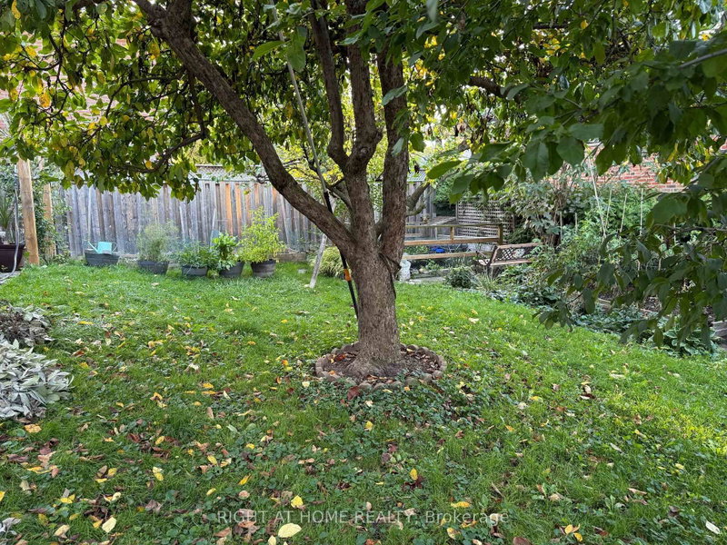 258 La Rose Ave photo 4