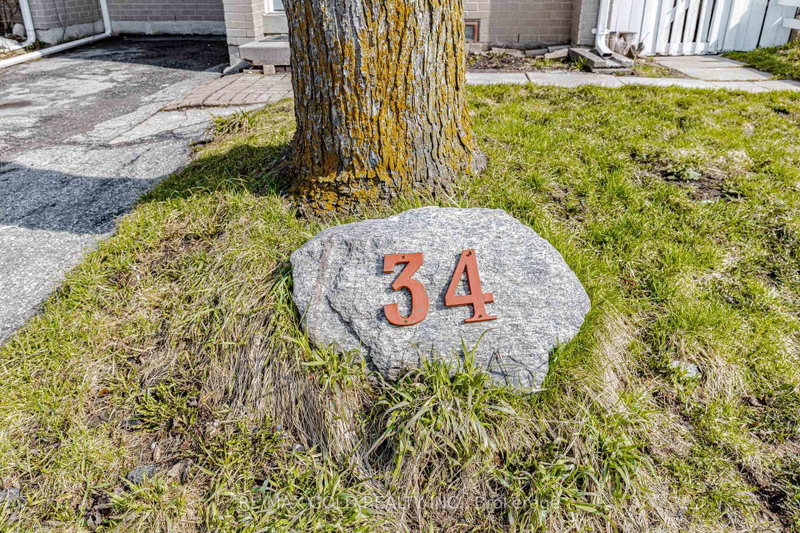 34 Jackman Drive