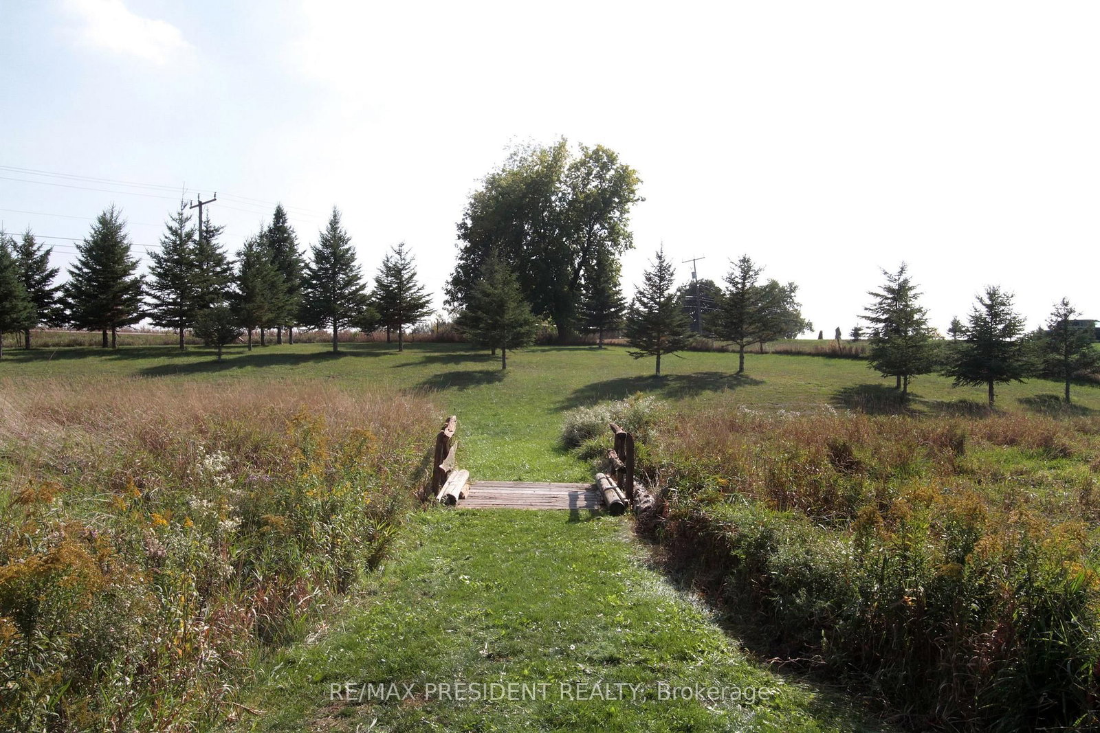 7190 King Street • Caledon, ON photo 24