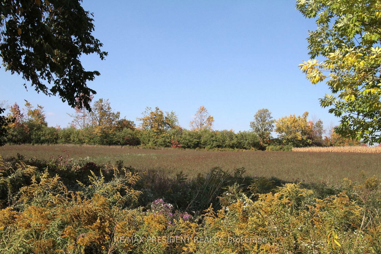 7190 King Street • Caledon, ON photo 25