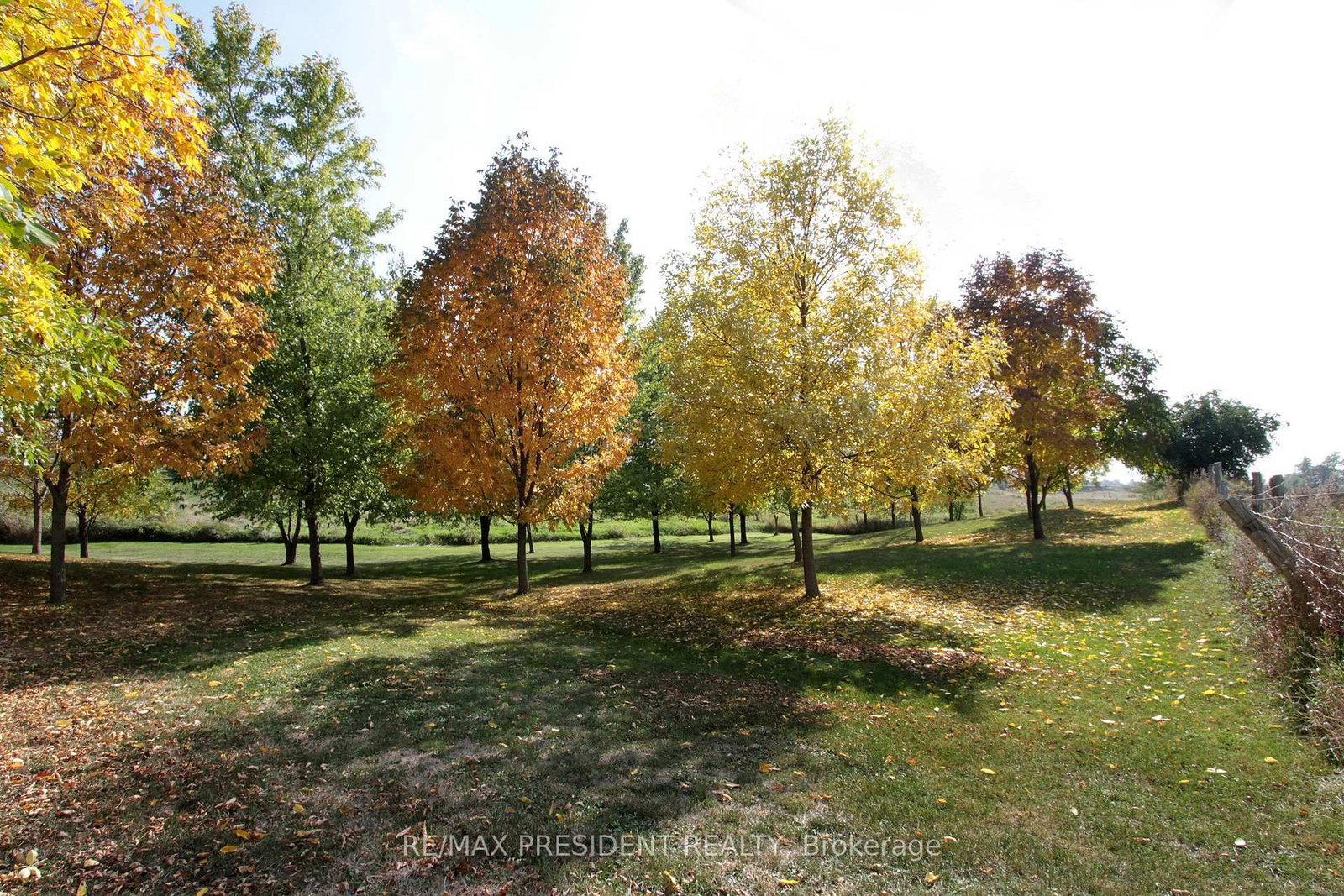 7190 King Street • Caledon, ON photo 26