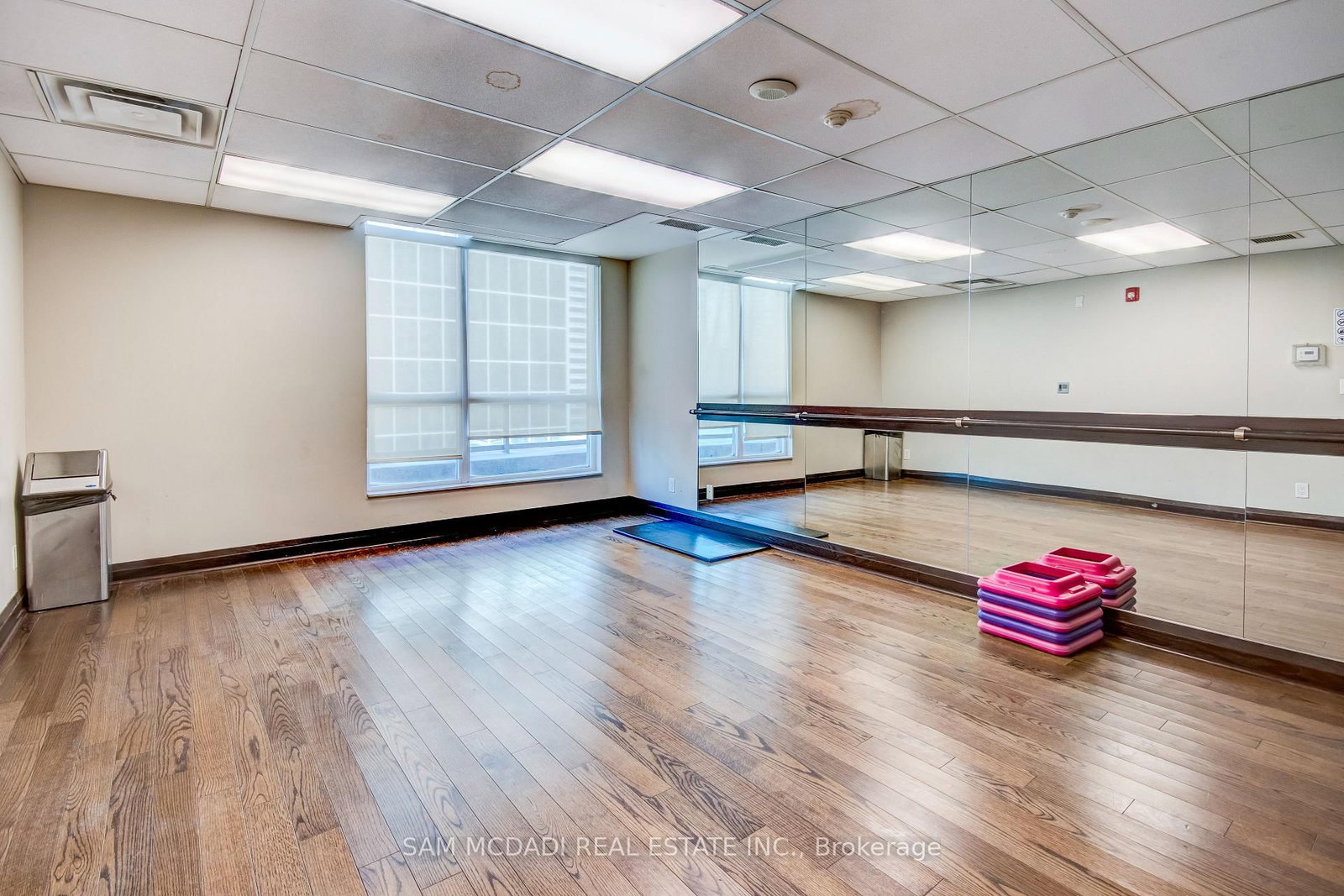 208 Enfield Mississauga,ON L5B 0G8 — Photo 19