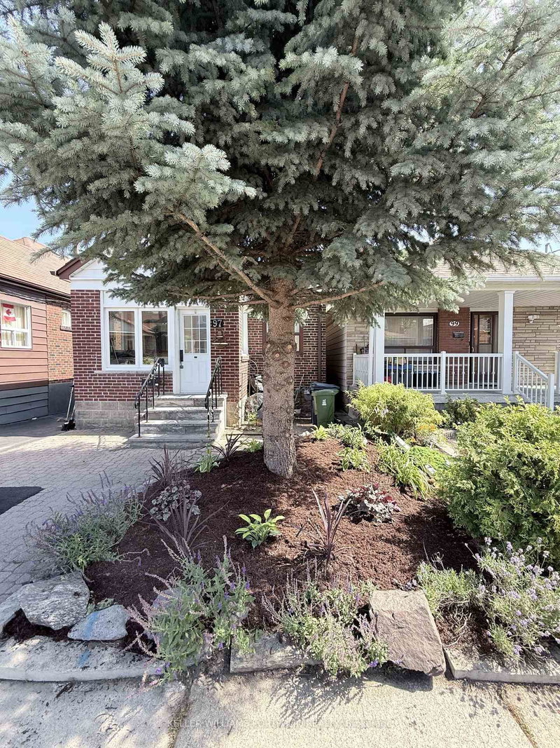 97 Livingstone Avenue
