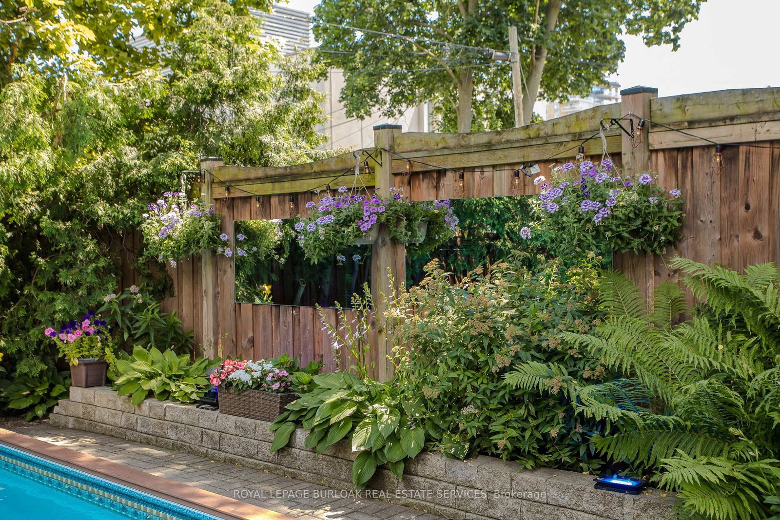 569 Locust Street • Burlington, ON photo 5